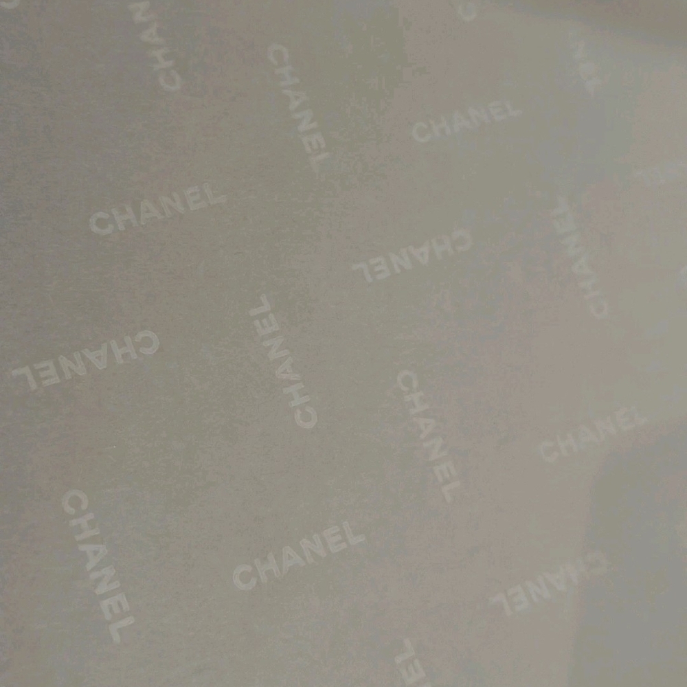 Authentic CHANEL Logo Tissue Paper 10 Sheets White Gift Wrap Packaging